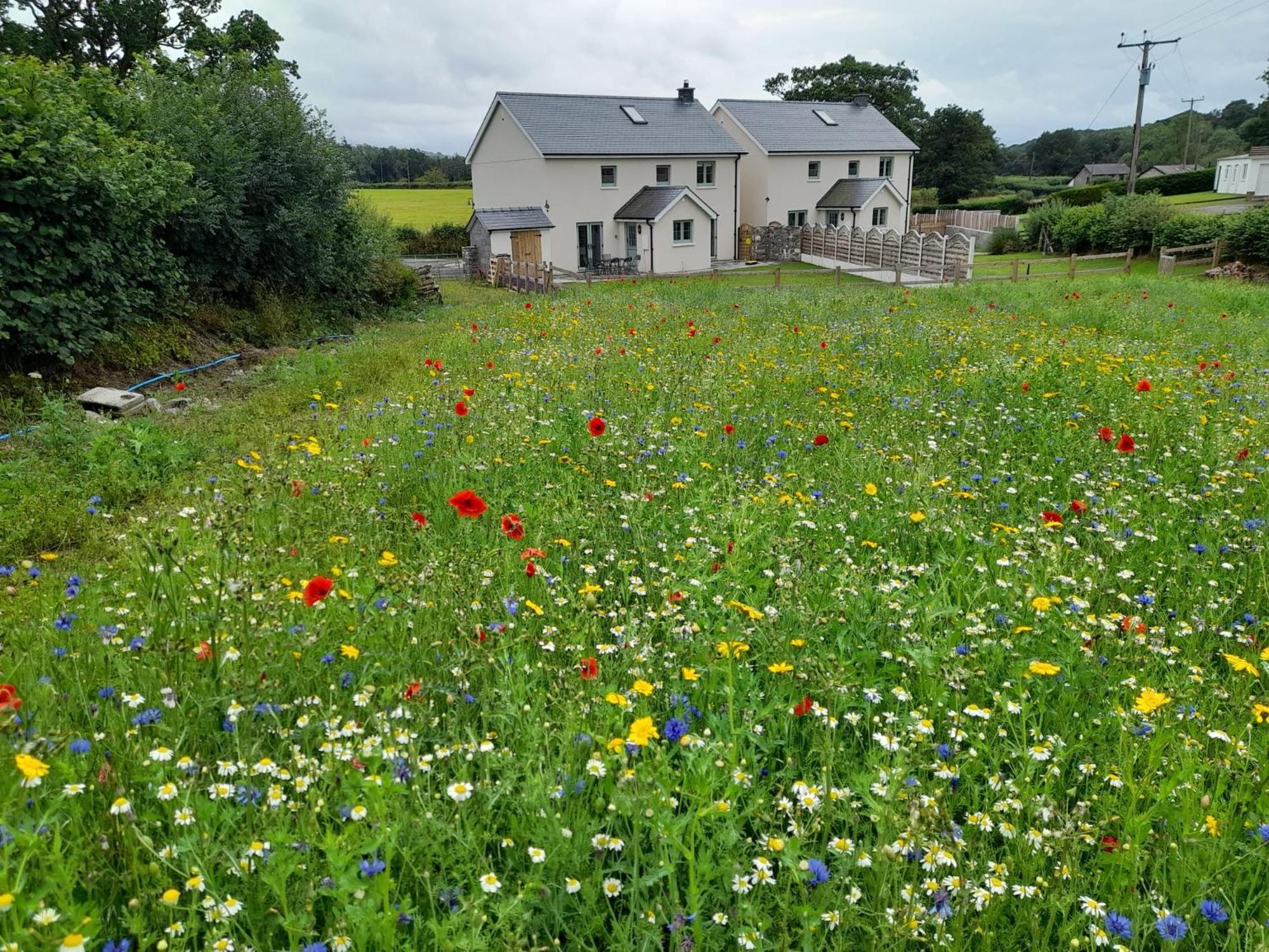 Family Country Cottage With Stunning Mountain Views Myddfai Exterior photo